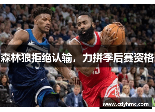 森林狼拒绝认输，力拼季后赛资格