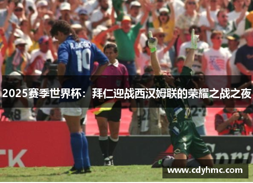 2025赛季世界杯：拜仁迎战西汉姆联的荣耀之战之夜