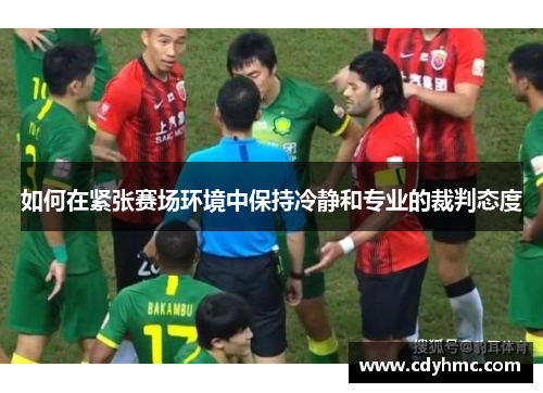如何在紧张赛场环境中保持冷静和专业的裁判态度